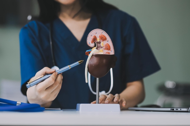 Nephrology